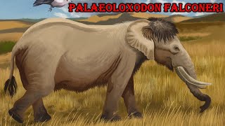 palaeoloxodon falconeri [upl. by Ennayram]