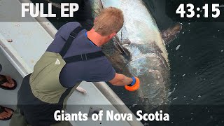 Ultimate Fishing with Matt Watson  Episode 1  The Giants of Nova Scotia [upl. by Iel]