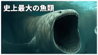 【ゆっくり解説】史上最大の硬骨魚類リードシクティス [upl. by Adnolohs]