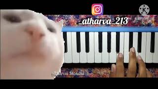 levan polka melodica cpver [upl. by Adan255]