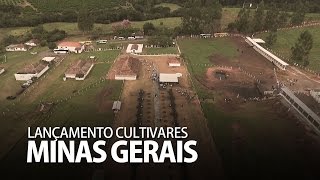 Lançamento cultivares  Matsuda Minas Gerais [upl. by Arrad]