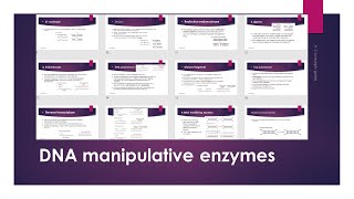 DNA Manipulative Enzymes Gene Conning  Urdu\ Hindi [upl. by Nylirac]