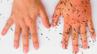 8 AllNatural Ways to Keep Mosquitoes Away [upl. by Louanna]