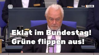 💥Eklat im Bundestag Künast und Hasselmann Grüne flippen aus [upl. by Almund]