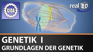 Trailer  Genetik I  Grundlagen der Genetik  Biologie  3D Software [upl. by Burman]