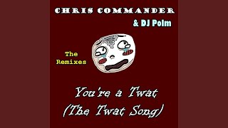 Youre a Twat The Twat Song Fast and Dirty Remix Instrumental [upl. by Denn]