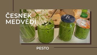 ČESNEK MEDVĚDÍ vynikající a zdravé pesto [upl. by Chainey371]