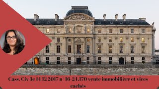 ⚖️ Vente Immobilière et Vices Cachés Cass Civ 3e 14 Décembre 2017 n° 1624170 [upl. by Emiatej]