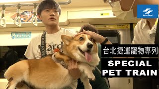 Taipei Metro Special Pet Train Taiwan 台北捷運寵物專列 [upl. by Patricia404]