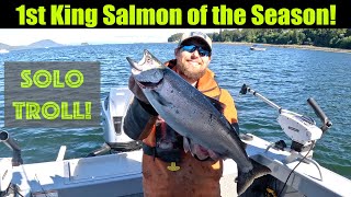 1st King Salmon of the Season Alaskan King Salmon Fishing  Juneau Alaska JUNE 2024 alaska [upl. by Atteragram]