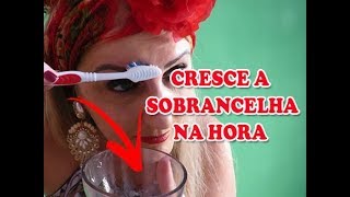 RECEITA MILAGROSA PARA CRESCER SOBRANCELHA RÁPIDO com BONUS DE ERRO DE GRAVAÇÃO [upl. by Kopaz]