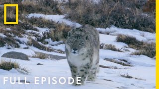 Mountains Full Episode  Hostile Planet [upl. by Eenwahs]