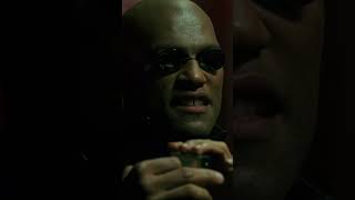 Morpheus Warns Neo About the Matrix Sequels [upl. by Abekam]