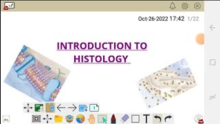 INTRODUCTION TO THE CELLHISTOLOGY [upl. by Jemima]