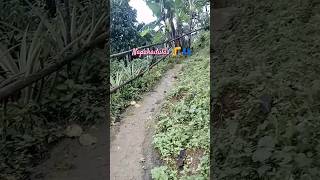 Slippery slopepathwaybuhayprovinsya provincelife subscribe [upl. by Astrahan414]