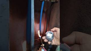 Flammability test of F Type Sheath FRLS test of cable [upl. by Mathis587]