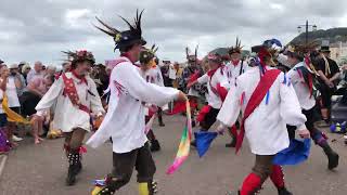 Sidmouth Folk Festival Eynsham Morris Esplanade 4824 [upl. by Crissie148]