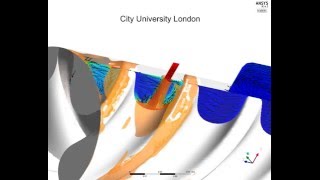 Oil Injection Interaction with Screw Rotor Lobes [upl. by Kaleb118]