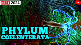 NonChordates PHYLUM COELENTERATA  Animal Kingdom  3D ANIMATION [upl. by Shirk911]