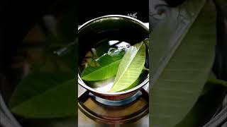 ഈ ഇലയിട്ട് വെള്ളം കുടിക്കാം🍃🥛guavaleaf healthtips sabanyasvlog [upl. by Euqinemod]