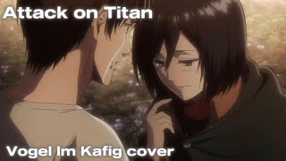 Vogel im Kafig cover Attack on titan [upl. by Oab346]