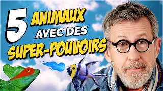 5 animaux avec des SUPERPOUVOIRS 🦸  TOP 5 [upl. by Ennovyahs211]