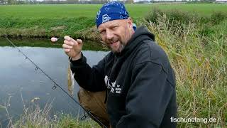 Matze Koch Fische aus Freilaufhaltung  Matzes Mätzchen 012020 [upl. by Lyman]