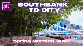 Brisbane Southbank to City Walk Across Neville Bonner Bridge  Morning Walking Tour  4K60fps [upl. by Megdal]