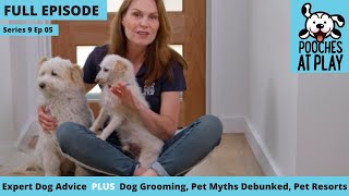 Dog amp cat myths debunked dog grooming pet resorts  Full Episode S9 Ep 5  Pooches at Play [upl. by Colline]