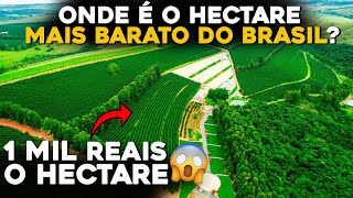 ONDE FICA O HECTARE MAIS BARATO E O MAIS CARO DO BRASIL [upl. by Perkins446]