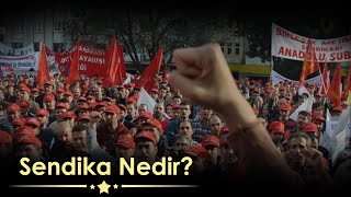 Sendika Nedir 1 Bölüm Sendika  Sendika türleri Neden Sendikalaşmalıyız [upl. by Nnayd]