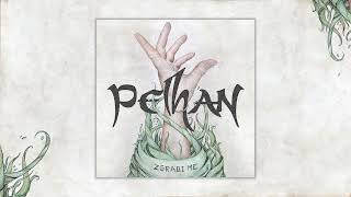 PELHAN  Priznam Official audio [upl. by Jerrylee209]