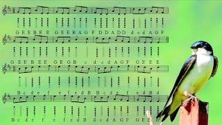 Swallowtail Jig  Tin Whistle Tabs  Play Along Tutorial [upl. by Robin]