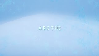 ARCTIC  4K Timelapse [upl. by Oly36]