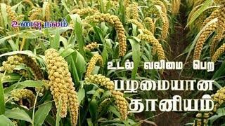 Foxtail Millet0 Thinai  Thinai Rice  Thinai Rice  Foxtail Millet Tamil  திணை [upl. by Avrit988]