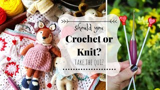 Should You Crochet or Knit Take the Quiz  Crochet vs Knitting [upl. by Ilonka]