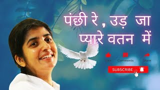 Panchi Re Ud Jaa Pyare Vatan Me  4  brahmakumaris shivani omshanti omshantiretreatcentre [upl. by Ayifas]