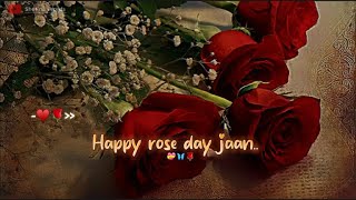 Mere Liye Meri Duniya Ho Tum ♥ Happy Rose Day Jaan💝🌹Rose Day Status 2024 Happy Rose Day Status [upl. by Ahtram722]