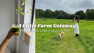 Last Weeks of Summer in Brooklyn Plus a Little Farm Getaway [upl. by Holub349]