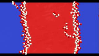 Interfacial thermal fluctuations in presence of surfactants [upl. by Ecital]