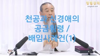 ■《공금횡령과 배임행위 의혹들》권한도 없는 신경애의 지시ㆍ천공의 공모 사례1공개 [upl. by Ayotak]