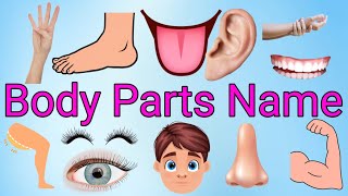 Body Parts Name English  Body Parts vocabulary  Kids Educational Videos  jinutv  kids channel [upl. by Airotal]