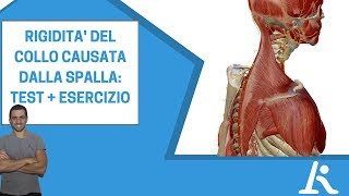 Rigidità al collo causata dalla spalla testesercizio [upl. by Blakely259]