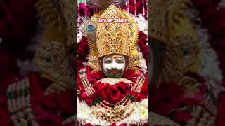 🙏👍😅Hare ka Sahara Baba shyam hamara🙏khatushyam [upl. by Aroled]