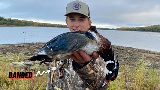 Duck hunting Michigan duck opener Banded wood duck My first band must watch [upl. by Aicram]