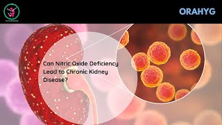 Can Nitric Oxide Deficiency Lead to Chronic Kidney Disease [upl. by Glynias538]