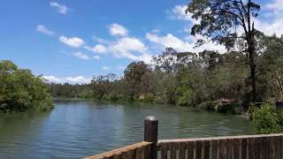 Tingalpa Creek Reserve Ransome QLD Australia 1158 am Friday November 11th 2022 [upl. by Kreis]