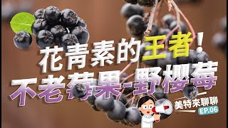 花青素的王者！不老莓果 野櫻莓｜MEDBRING美特健康｜【美特來聊聊EP06】 [upl. by Adlih81]