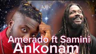 Amerado ft Samini  Ankonam remix Reaction [upl. by Sucirdor]