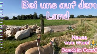 Es gibt neues vom Wohnmobil in Frankreich🚐🙏🍀Auszeit vom vanlife 😱😫vlog hund vanlife wohnmobil [upl. by Ettener]